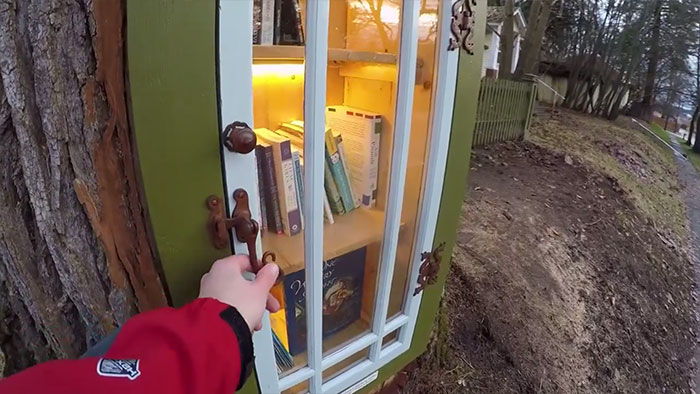 Una donna trasforma un ceppo di albero di 110 anni in una biblioteca magica gratuita per il quartiere