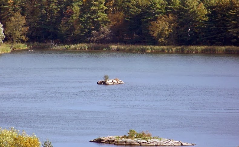 C'è un piccolo gruppo di oltre 1.000 piccole isole dove i residenti ottengono la loro isola privata