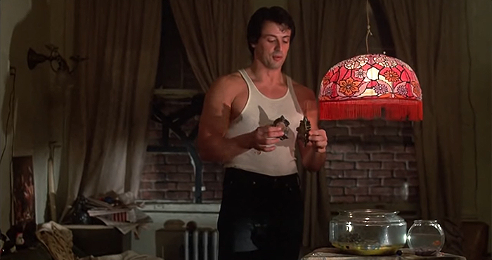 Sylvester Stallone ha tenuto le due tartarughe da "Rocky" e ora hanno 44 anni