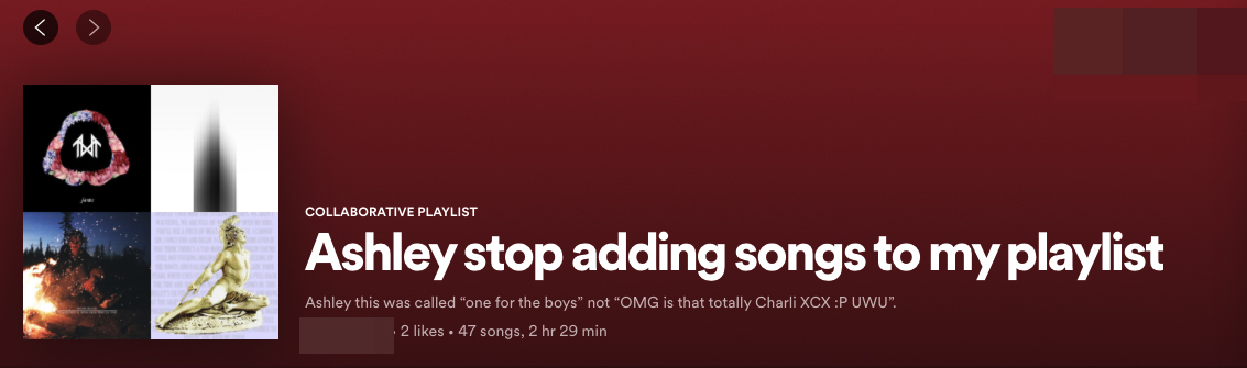 Una playlist di Spotify intitolata "Ashley smetti di aggiungere brani alla mia playlist"
