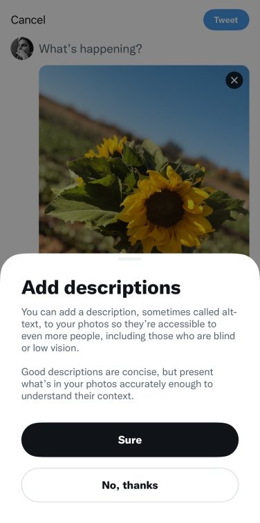Screenshot della finestra pop-up "aggiungi descrizione" di Twitter, che spiega il testo alternativo agli utenti.