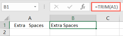 Funzione TRIM in Excel