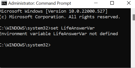 Una nuova finestra CMD con LifeAnswerVar undefined.