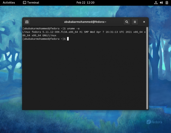 Versione del kernel del terminale Linux identificata utilizzando uname
