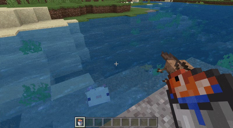 Una GIF animata di un giocatore di Minecraft che dà da mangiare ai pesci tropicali agli axolotl e poi li guarda riprodursi.