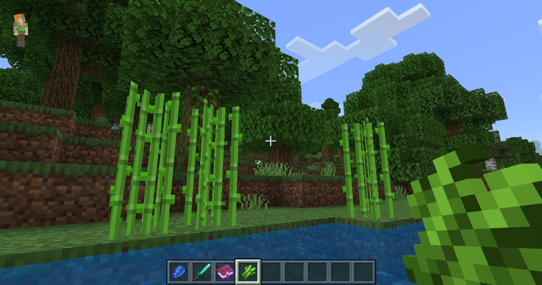 La canna da zucchero che cresce lungo una sponda del fiume a Minecraft.