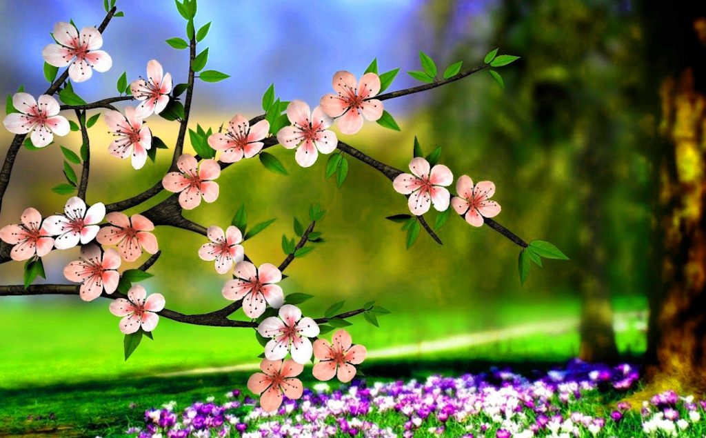 Download di sfondi HD di fiori bellissimi