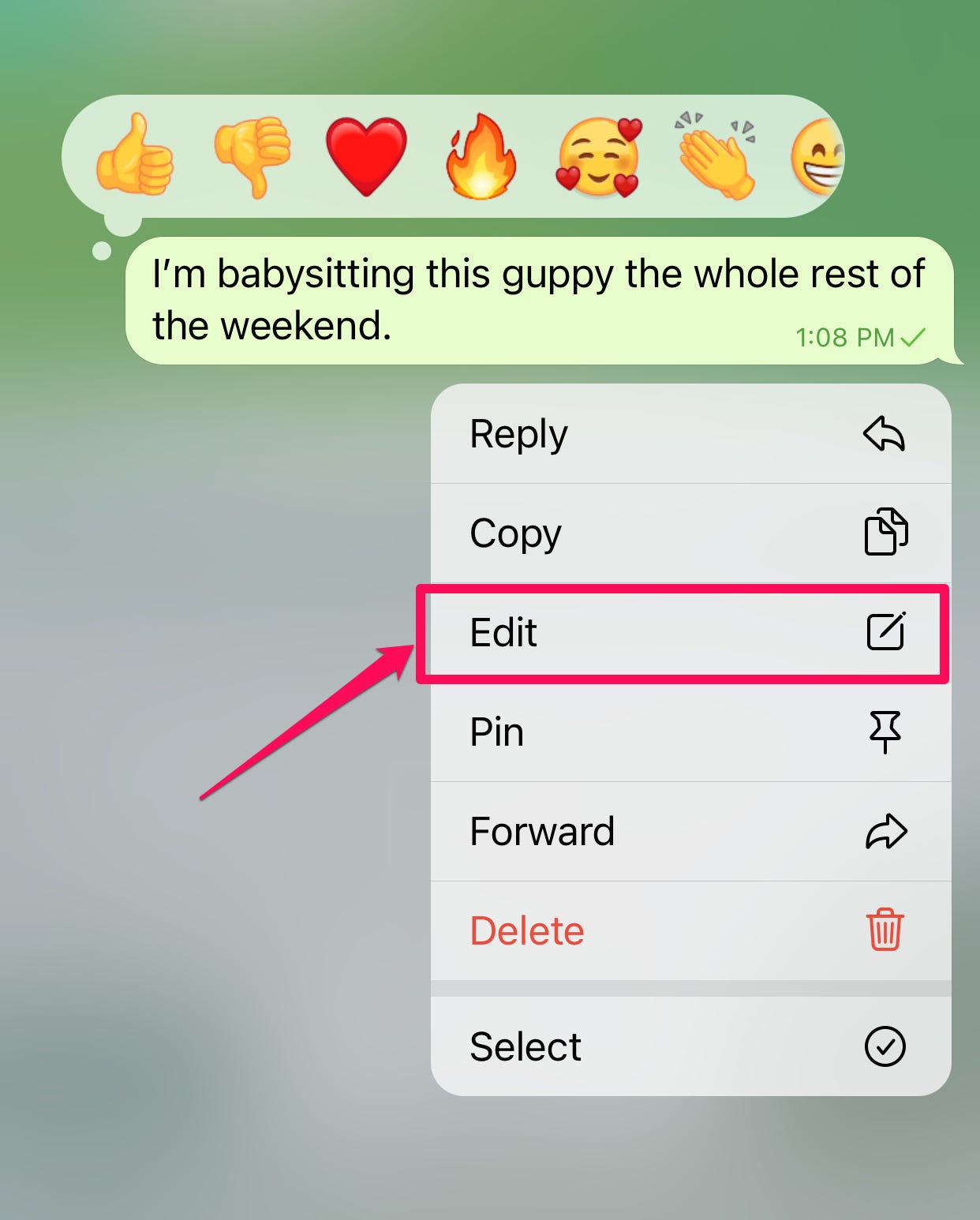 Messaggio di chat nell'app Telegram per iPhone.