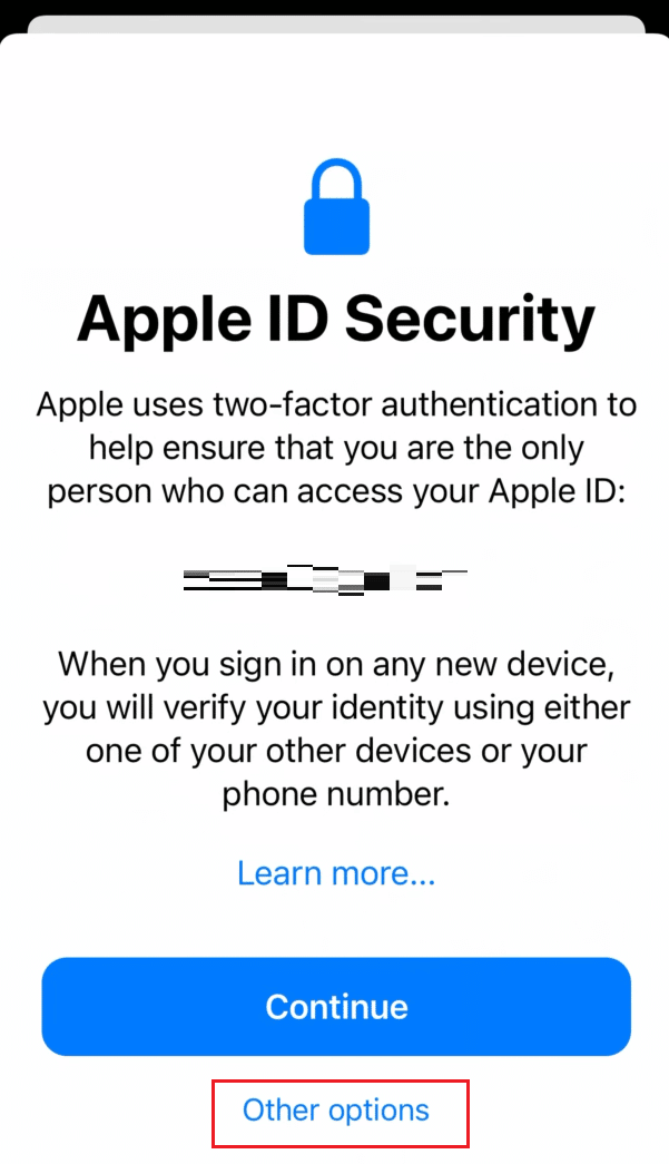 Nella schermata Sicurezza ID Apple, tocca Altre opzioni | Come accedere al tuo account iCloud