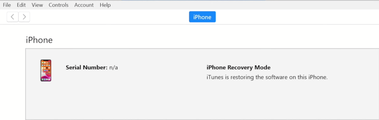 iTunes ripristinerà il software sul tuo iPhone. Aspetta che il processo sia terminato