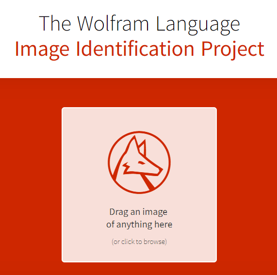 Aprire il sito Web ufficiale del progetto di identificazione dell'immagine