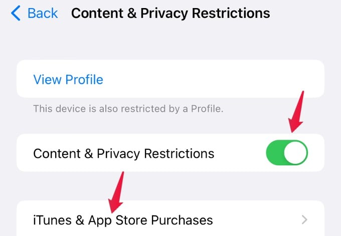 Menu Restrizioni sulla privacy dei contenuti iPhone
