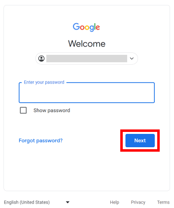 Inserisci la tua password e fai clic sul pulsante Avanti per accedere al tuo account Google.