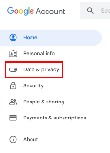 Dalle opzioni a sinistra, fai clic su Dati e privacy. | disattivare Google Chat