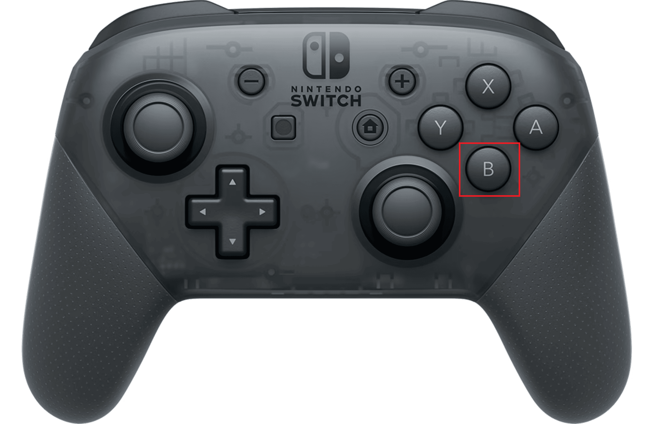 Premi il pulsante B sul tuo controller Nintendo Switch Pro per passare allo stato SITTING OUT | passa allo spettatore nella modalità creativa di Fortnite