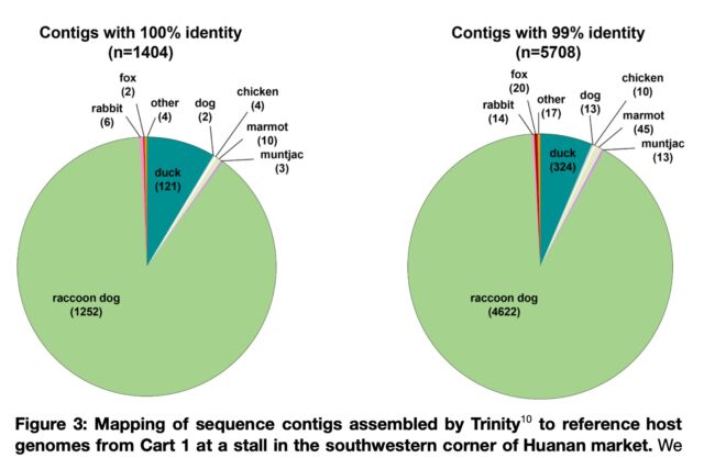 Mappatura dei contig di sequenza assemblati da Trinity10 per fare riferimento ai genomi dell'ospite dal carrello 1 in una bancarella nell'angolo sud-occidentale del mercato di Huanan.