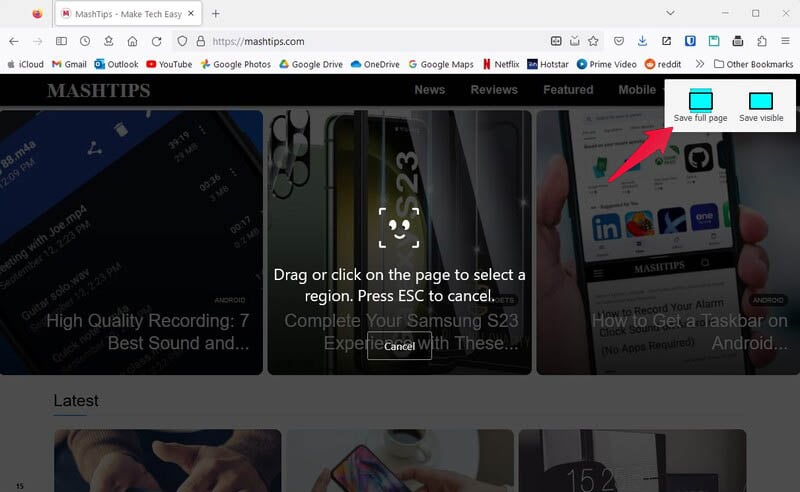 screenshot a pagina intera su firefox