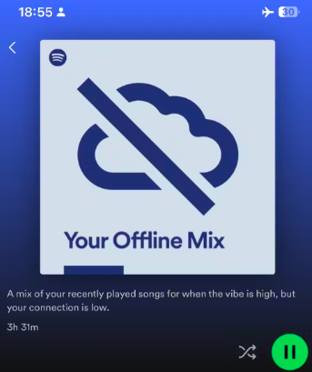 offline spotify