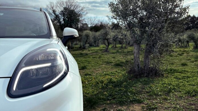 Ford usa gli scarti della raccolta di olive per le componenti d