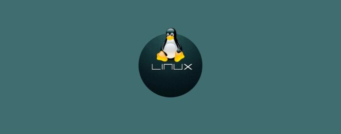 Linux Mint 21.3 “Virginia” è finalmente disponibile per il download