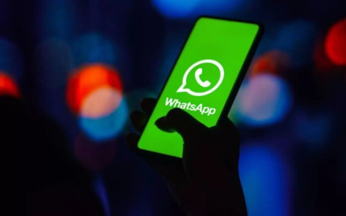 WhatsApp, un update per Android: ecco l’editor integrato per gli sticker