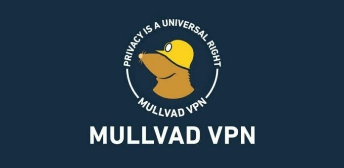 VPN a rischio DNS leak su Android, secondo Mullvad