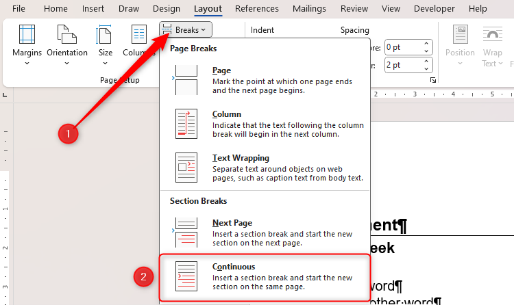 Il menu Interruzioni con l'opzione Continua selezionata.