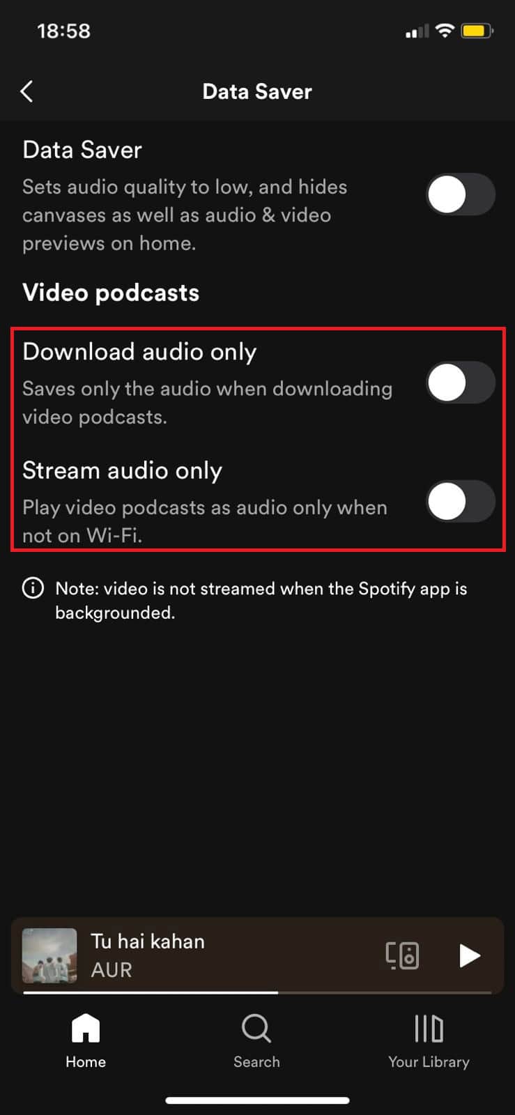 disattivare l'opzione per Scarica solo audio e Solo streaming audio